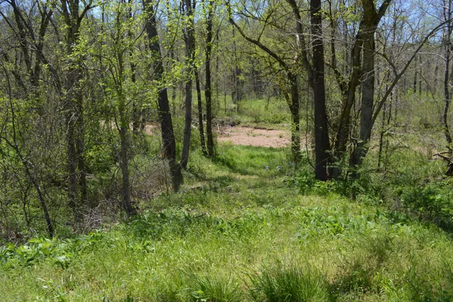 a backyard of a house with lots of green space