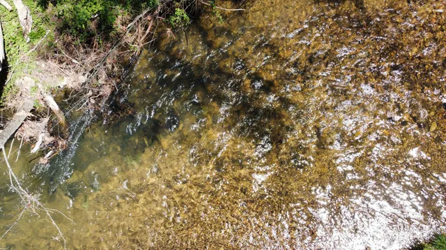 $249,900 | 5485 Highway 412, Linden, TN 37096