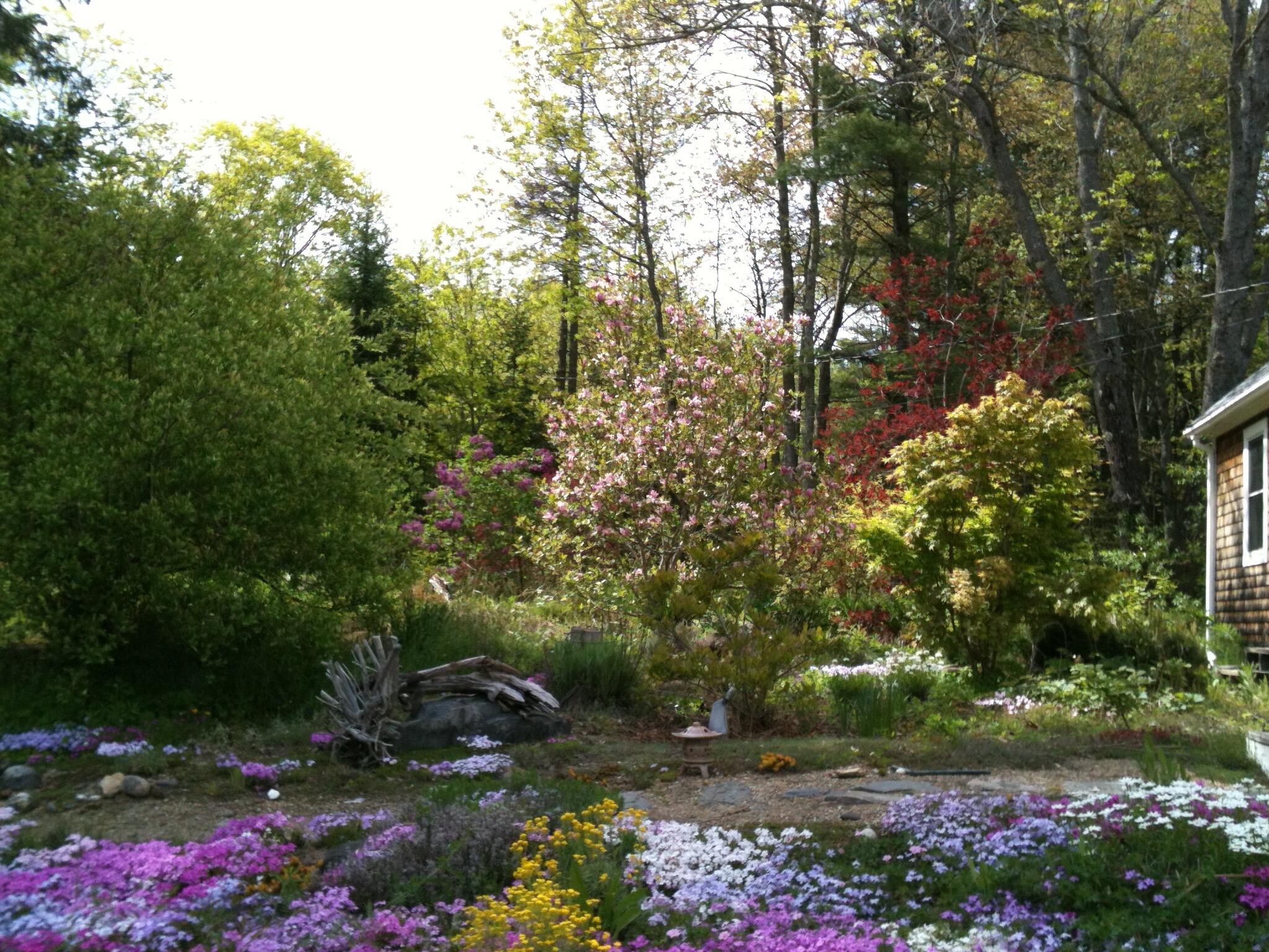 56 Oxhorn Road Wiscasset, ME 04578 - Photo 38 of 49 bloo3