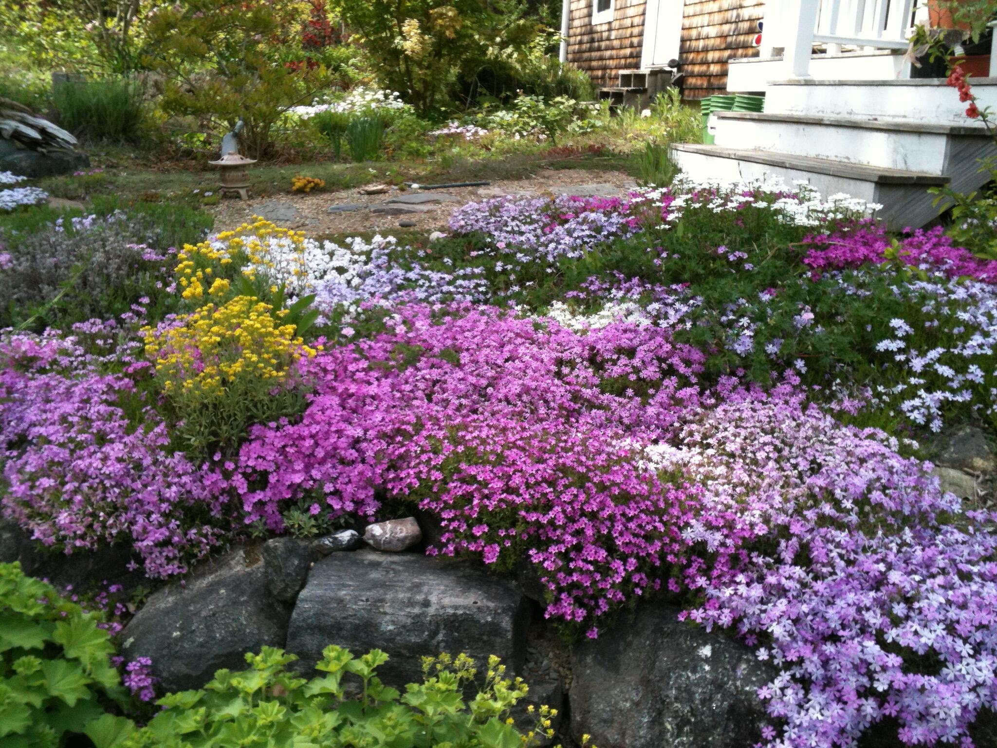 56 Oxhorn Road Wiscasset, ME 04578 - Photo 39 of 49 bloom4