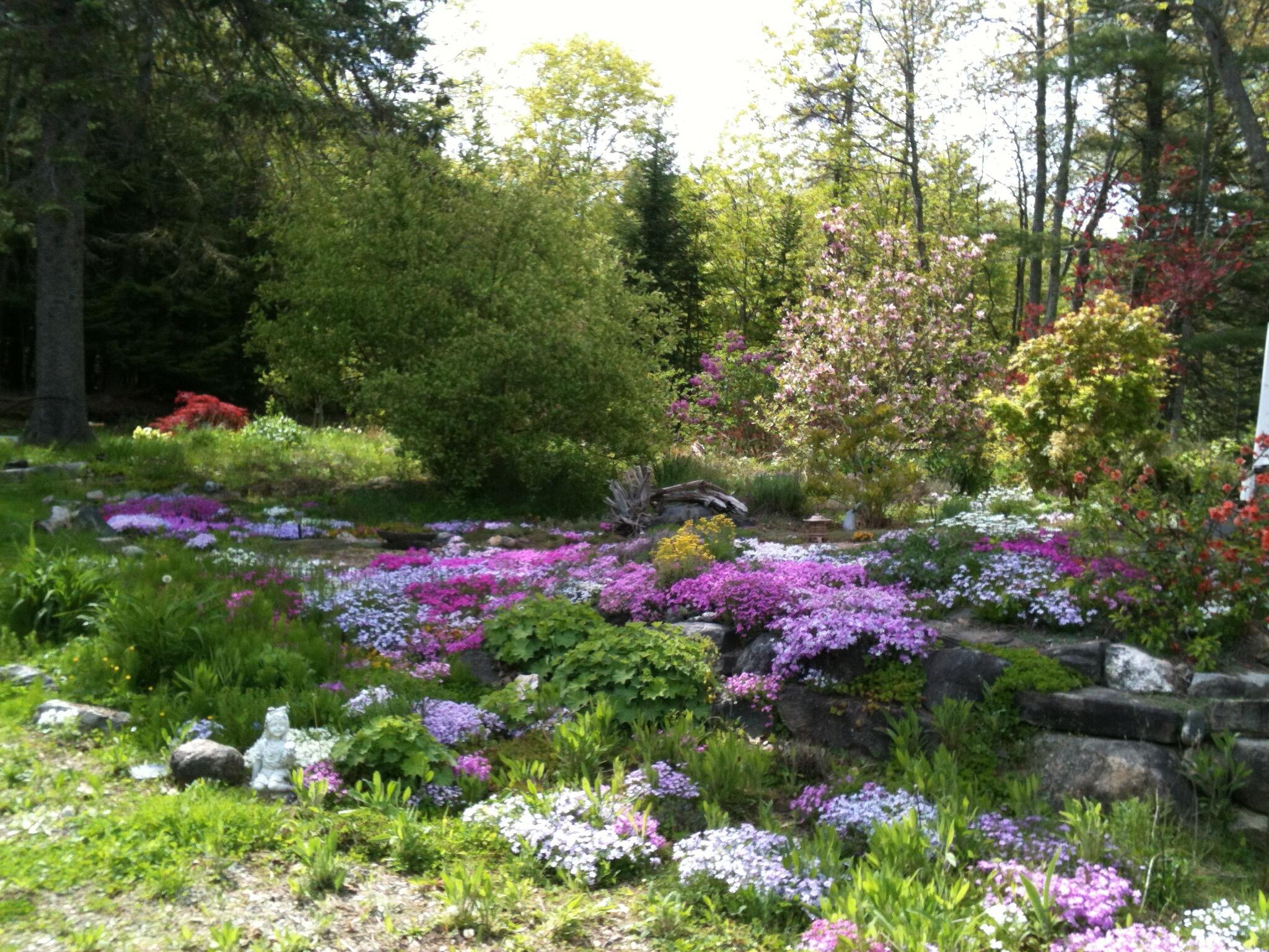 56 Oxhorn Road Wiscasset, ME 04578 - Photo 41 of 49 blooms