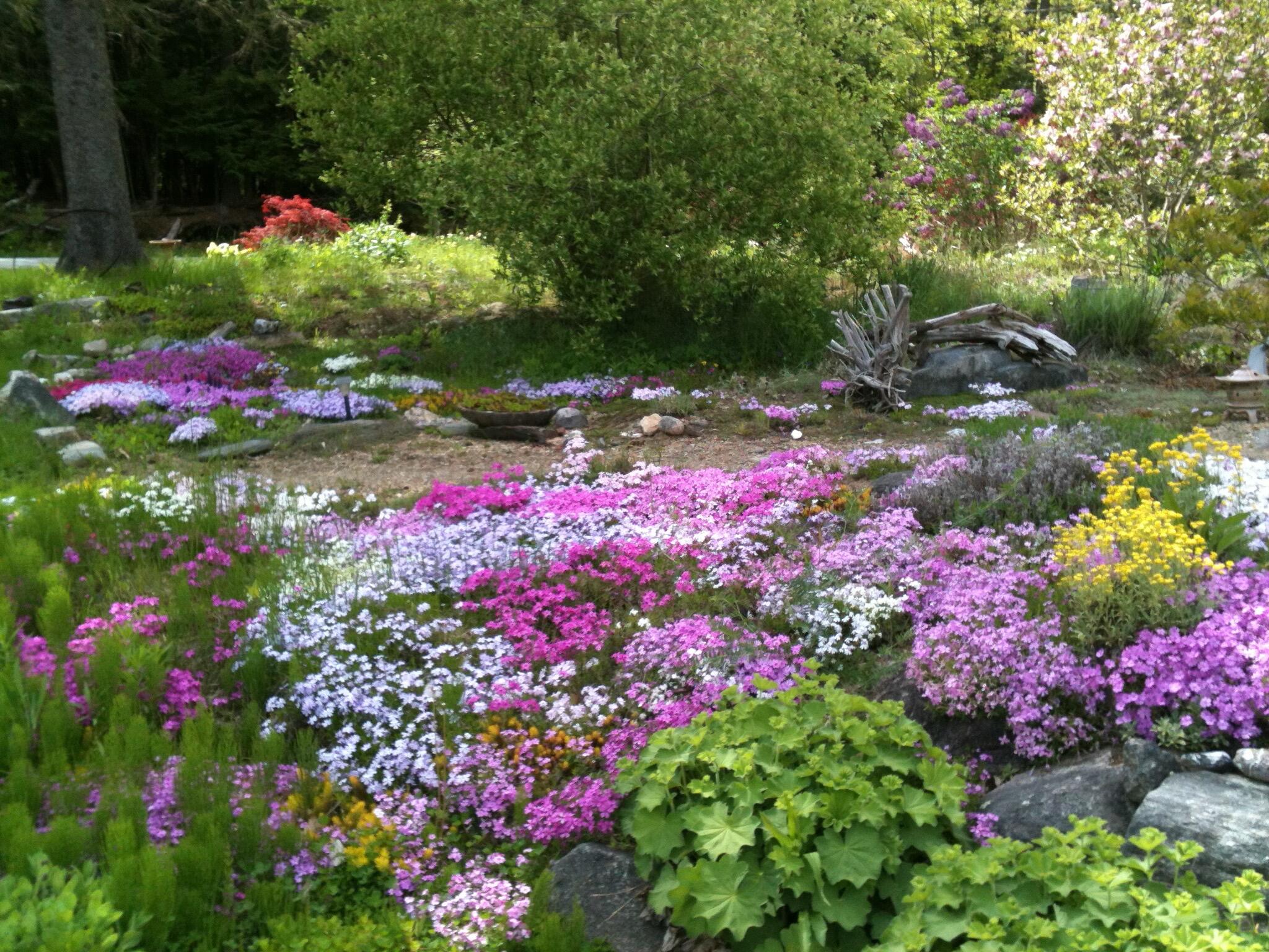 56 Oxhorn Road Wiscasset, ME 04578 - Photo 42 of 49 blooms2