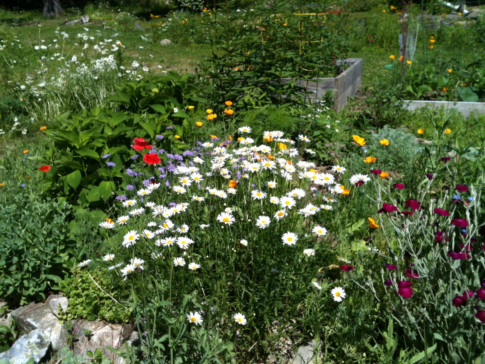 56 Oxhorn Road Wiscasset, ME 04578 - Photo 44 of 49 IMG_0323