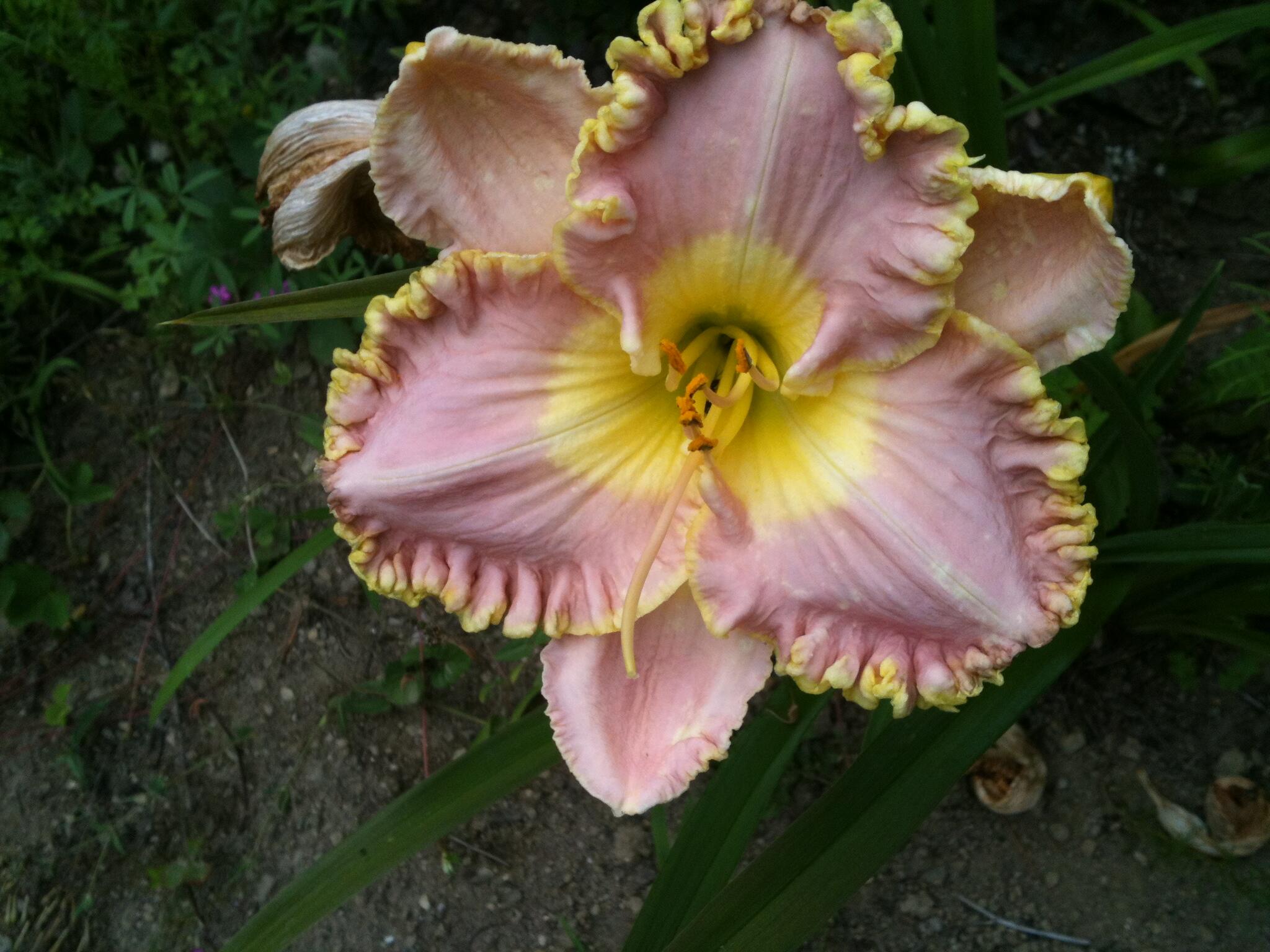 56 Oxhorn Road Wiscasset, ME 04578 - Photo 45 of 49 IMG_0496