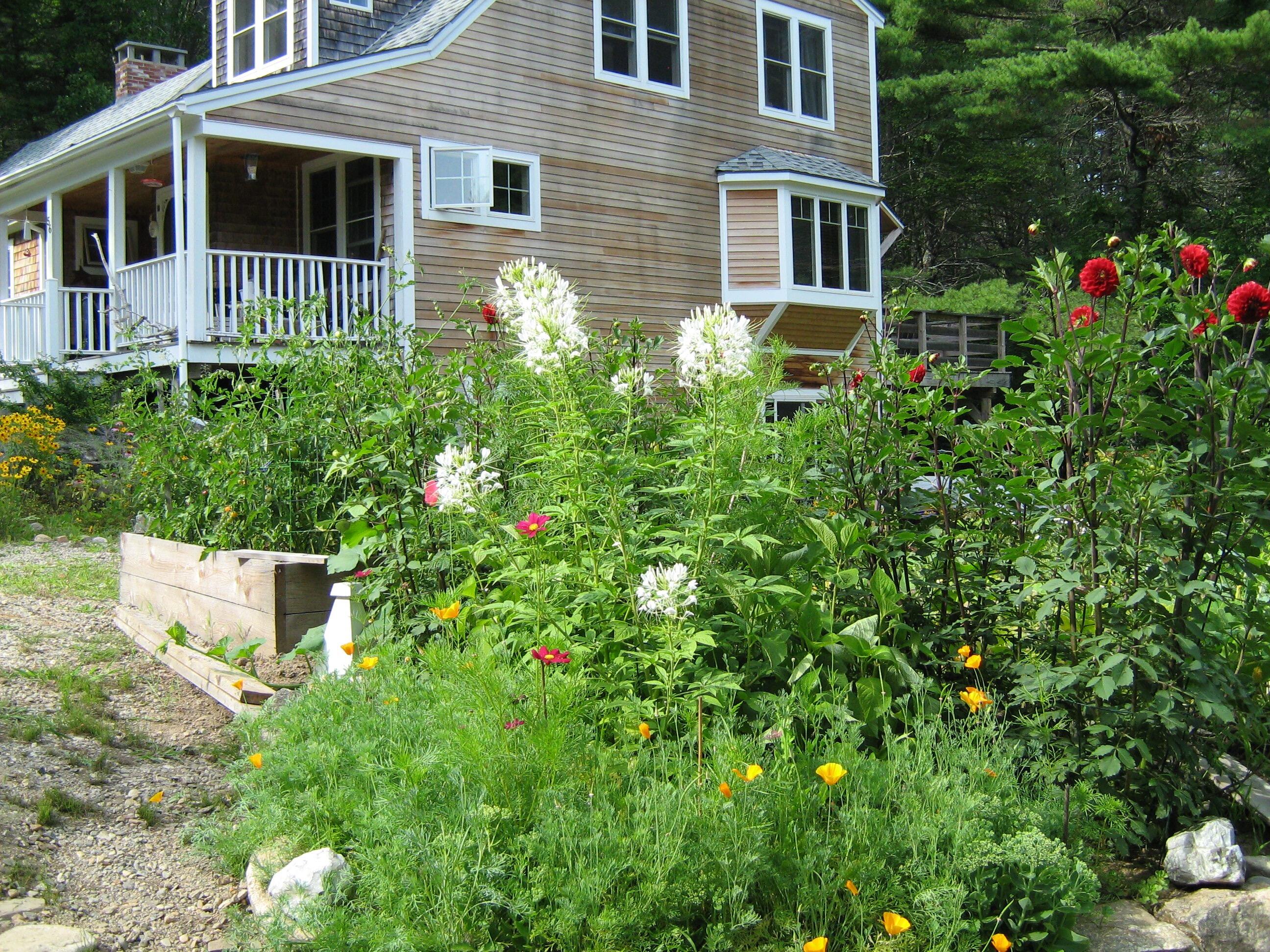 56 Oxhorn Road Wiscasset, ME 04578 - Photo 49 of 49 IMG_0417