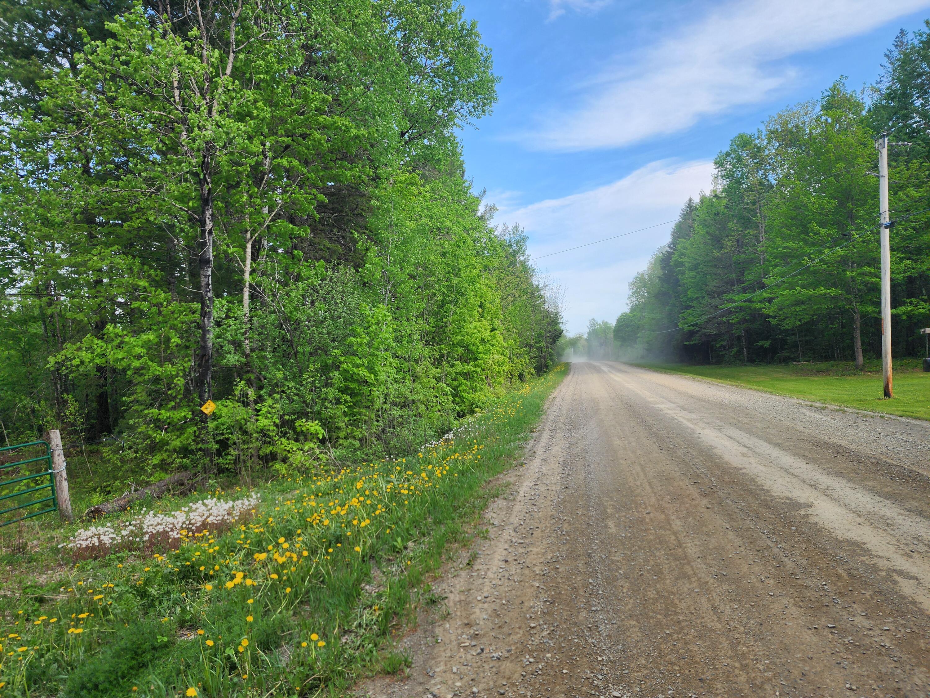 6.5-ac Estabrook Road Amity, ME 04471 - Photo 6 of 12 20240521_174830