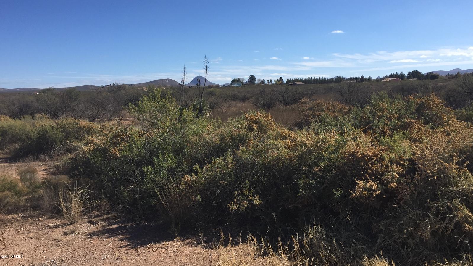 2595 North Washington Avenue Douglas, AZ 85607 - Photo 2 of 5 a view of a city