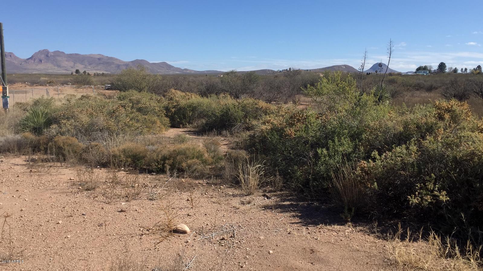 2595 North Washington Avenue Douglas, AZ 85607 - Photo 3 of 5 a view of a forest with trees in the background