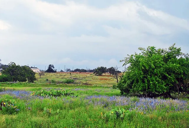 a view of a lake with a yard