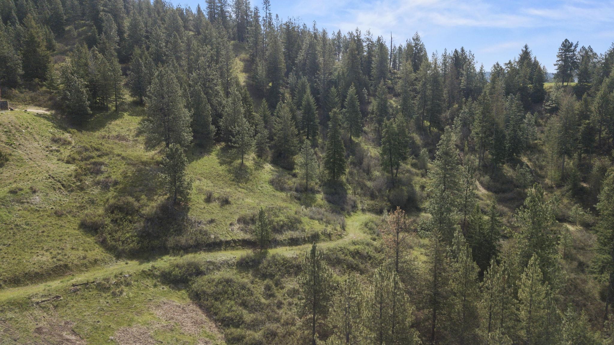 North Rockspring Lane Mead, WA 99021 - Photo 13 of 39