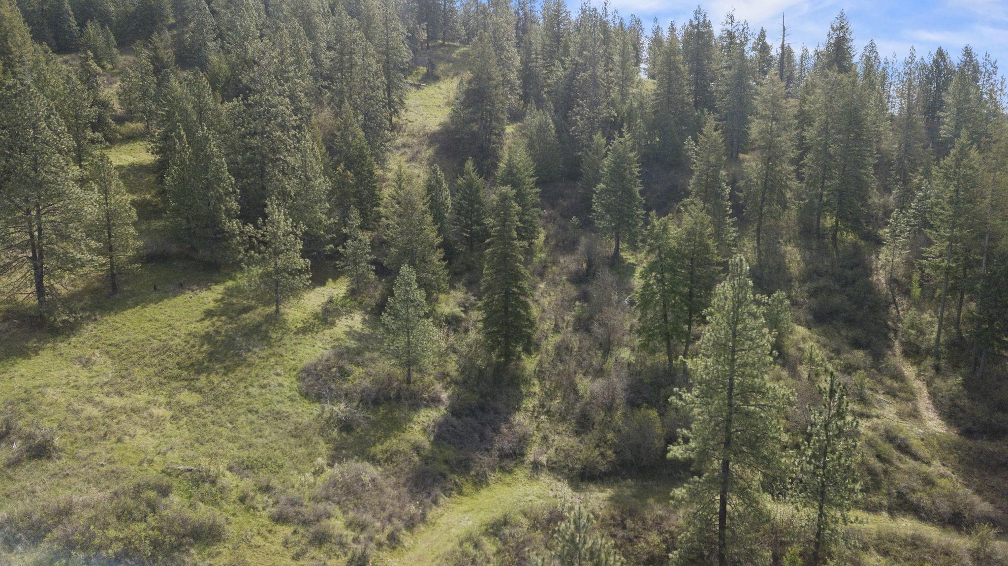 North Rockspring Lane Mead, WA 99021 - Photo 14 of 39