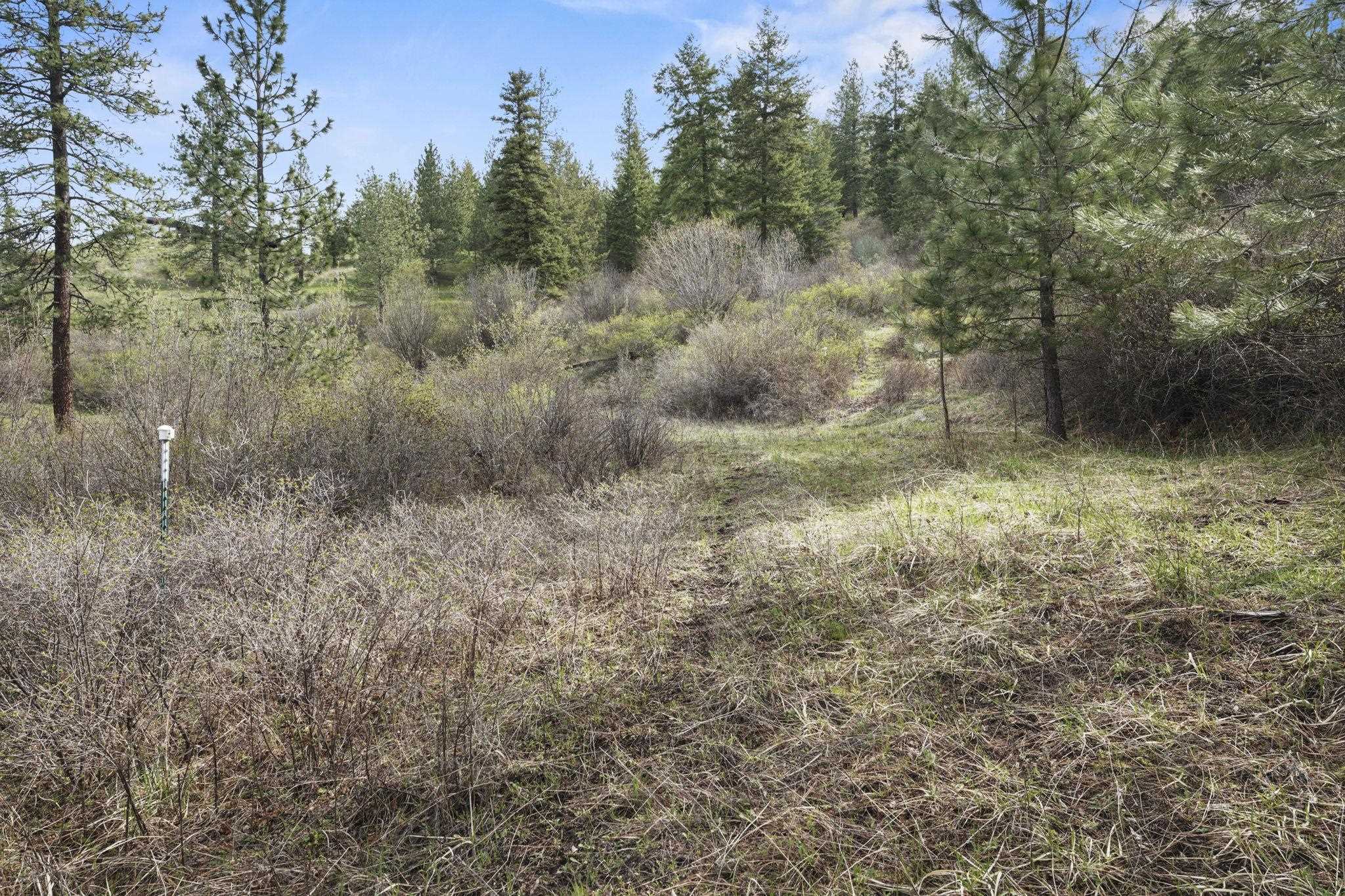 North Rockspring Lane Mead, WA 99021 - Photo 16 of 39