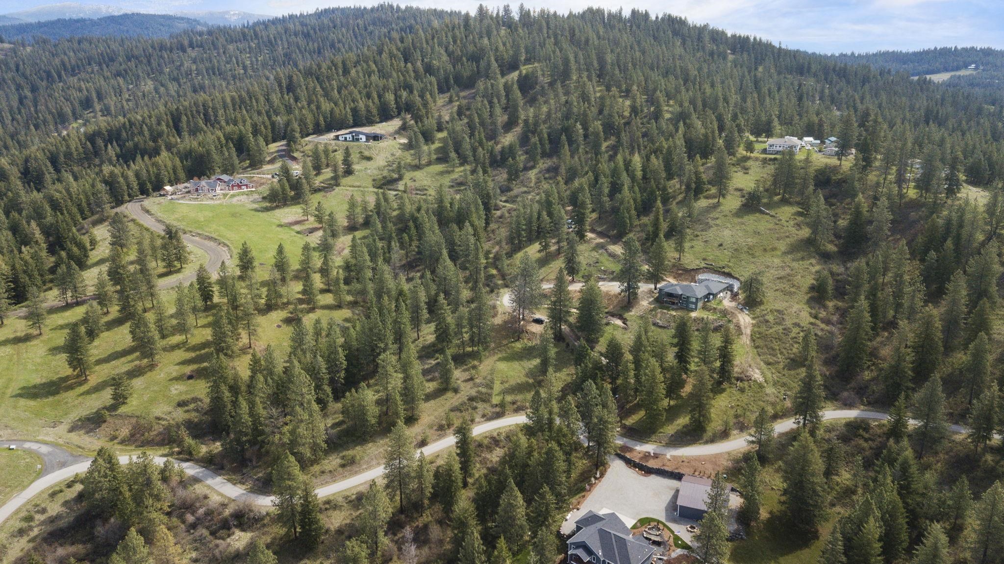 North Rockspring Lane Mead, WA 99021 - Photo 17 of 39