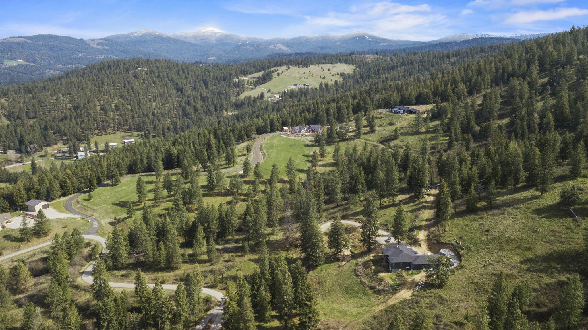 North Rockspring Lane Mead, WA 99021 - Photo 19 of 39