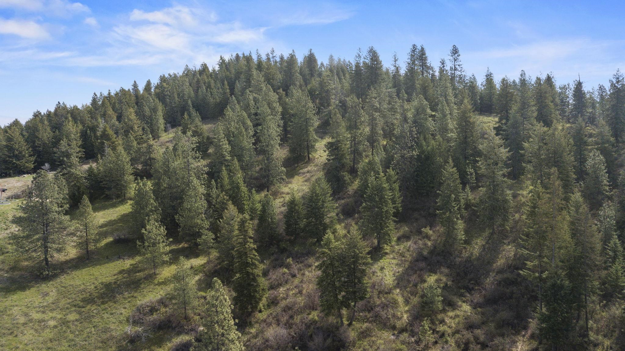 North Rockspring Lane Mead, WA 99021 - Photo 21 of 39