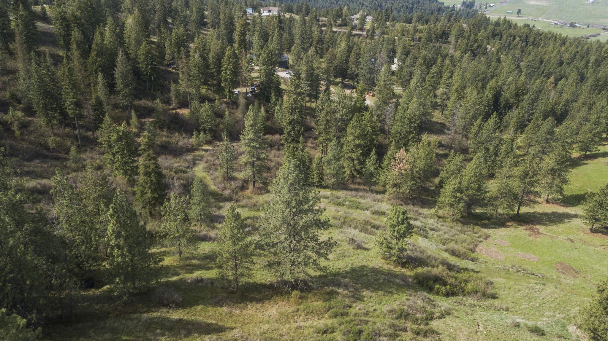North Rockspring Lane Mead, WA 99021 - Photo 23 of 39
