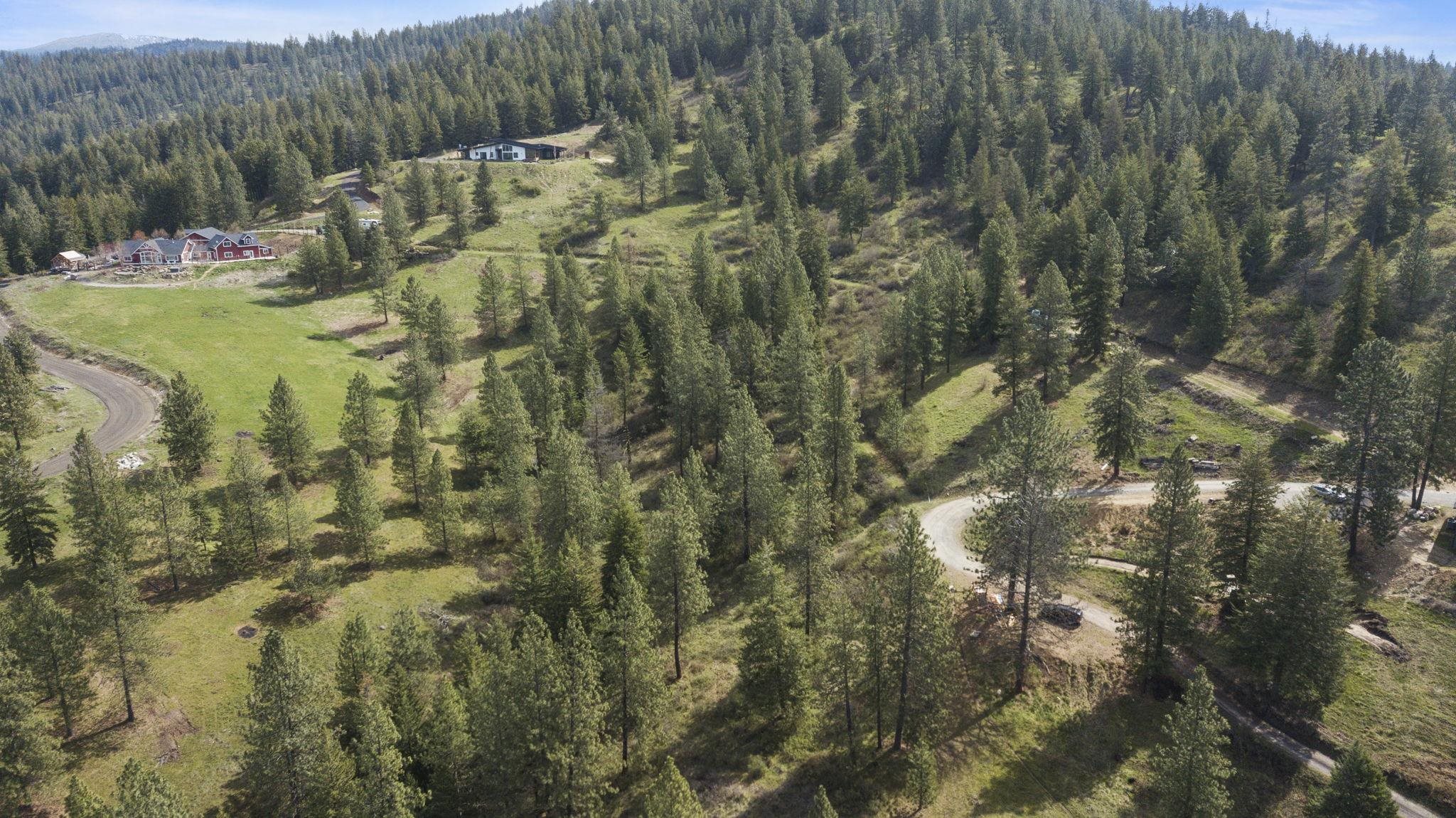 North Rockspring Lane Mead, WA 99021 - Photo 27 of 39