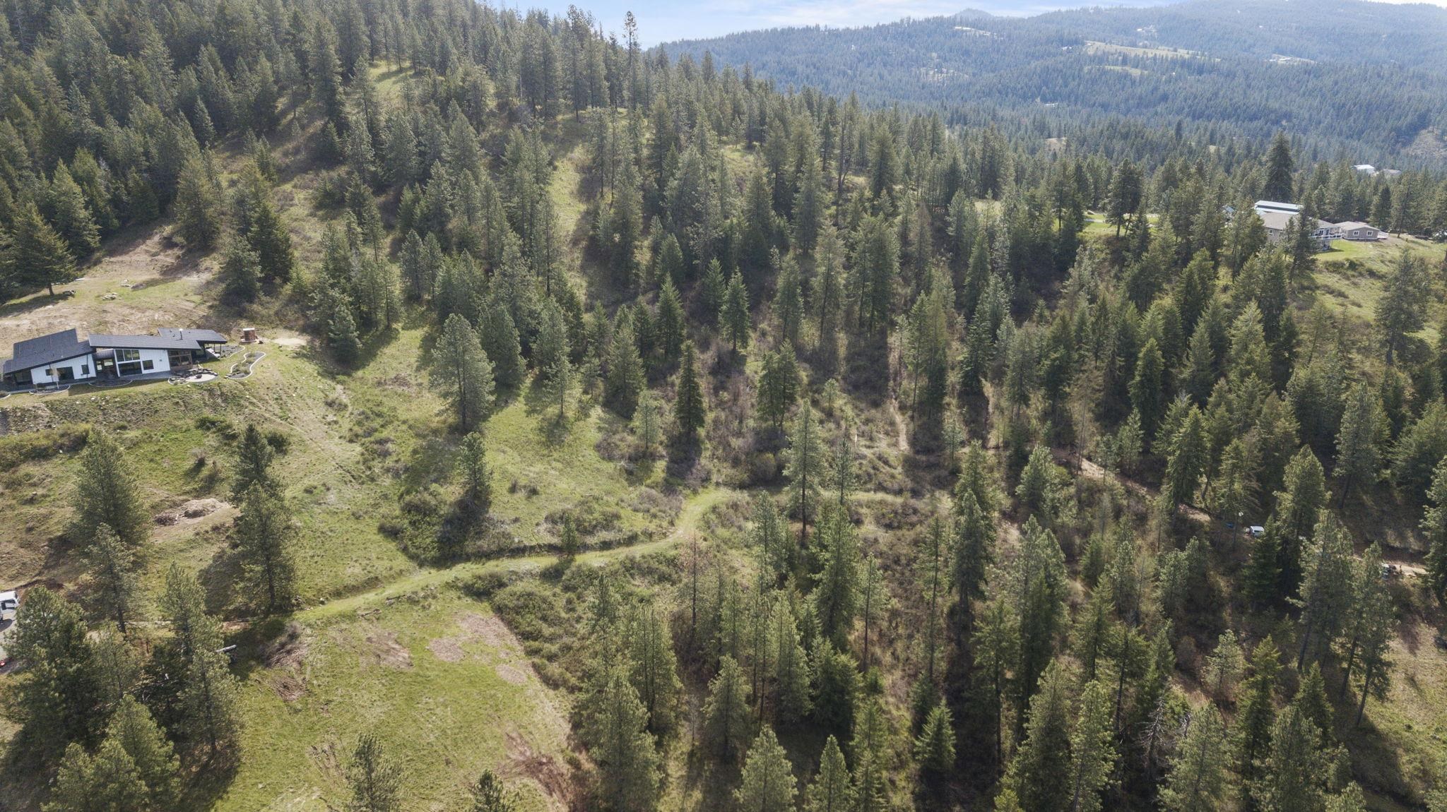 North Rockspring Lane Mead, WA 99021 - Photo 29 of 39