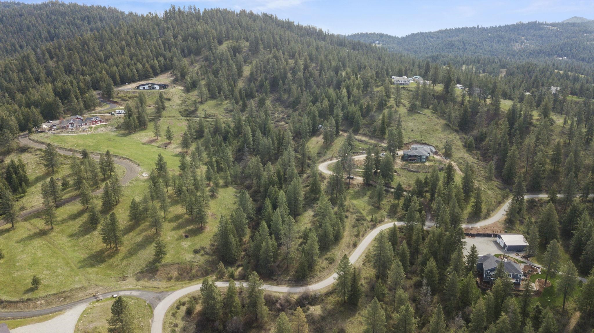 North Rockspring Lane Mead, WA 99021 - Photo 33 of 39