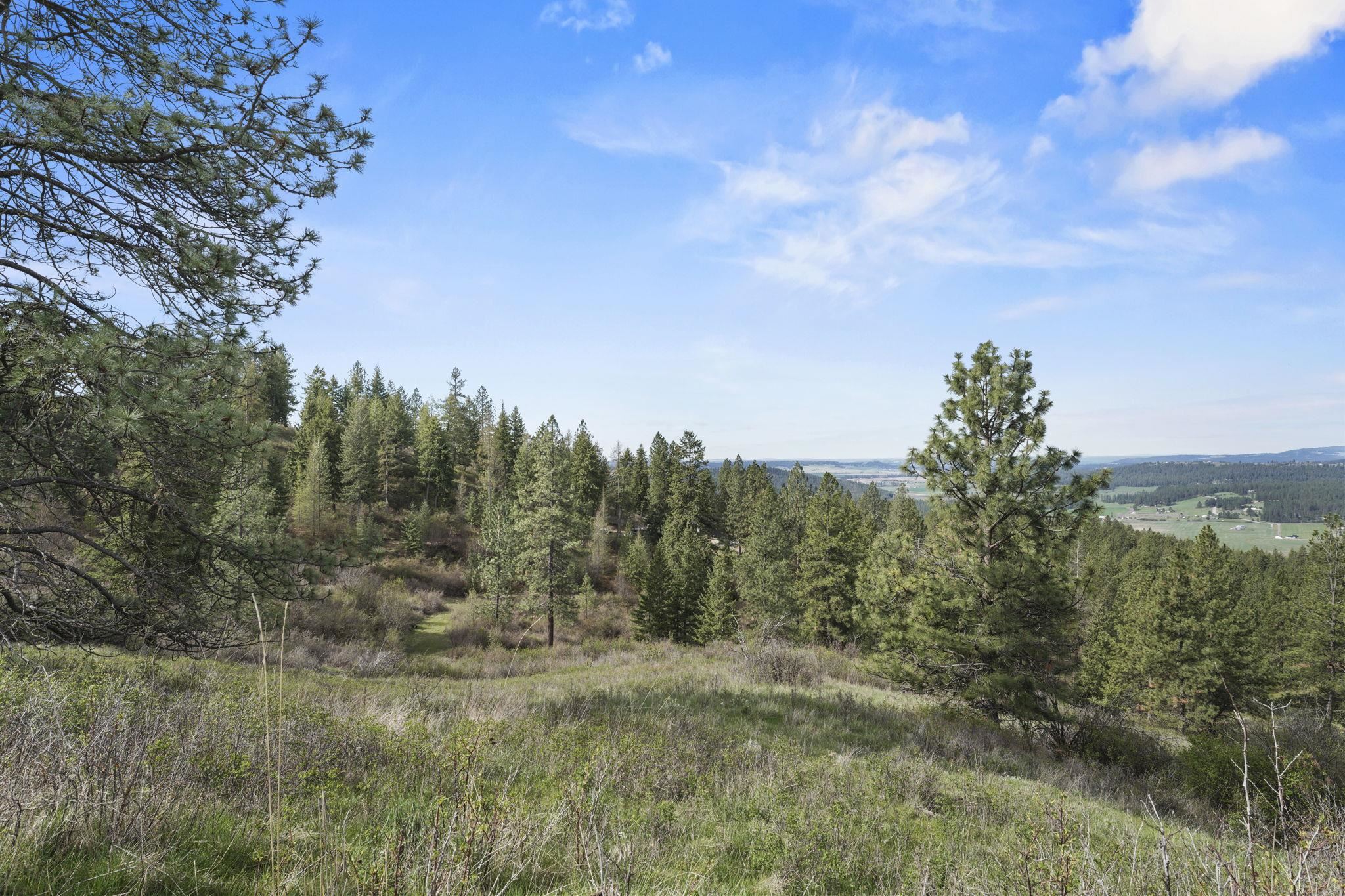 North Rockspring Lane Mead, WA 99021 - Photo 5 of 39