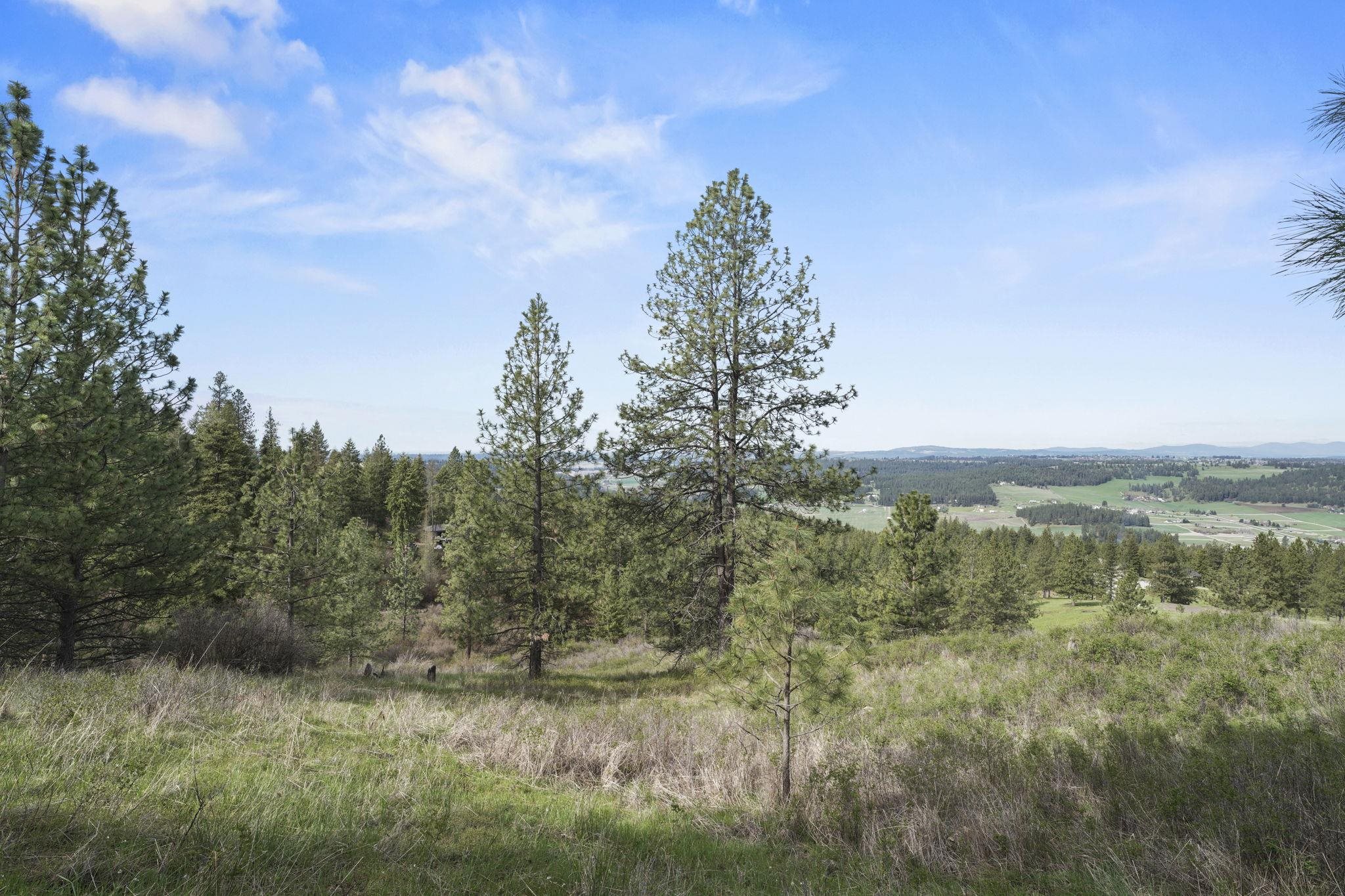 North Rockspring Lane Mead, WA 99021 - Photo 7 of 39
