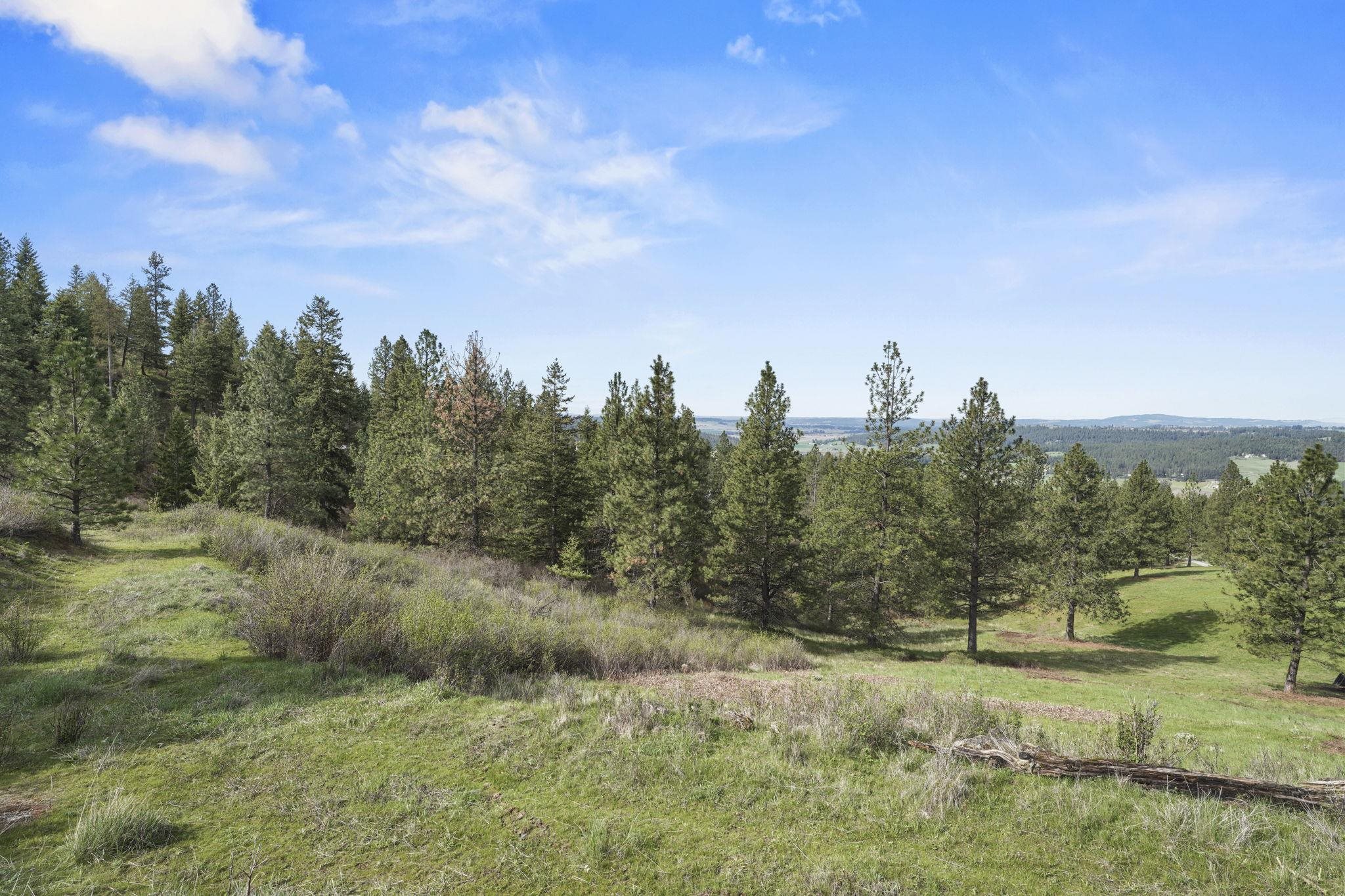 North Rockspring Lane Mead, WA 99021 - Photo 9 of 39