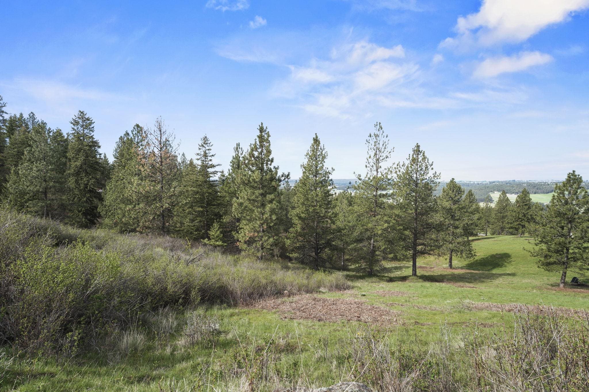 North Rockspring Lane Mead, WA 99021 - Photo 10 of 39