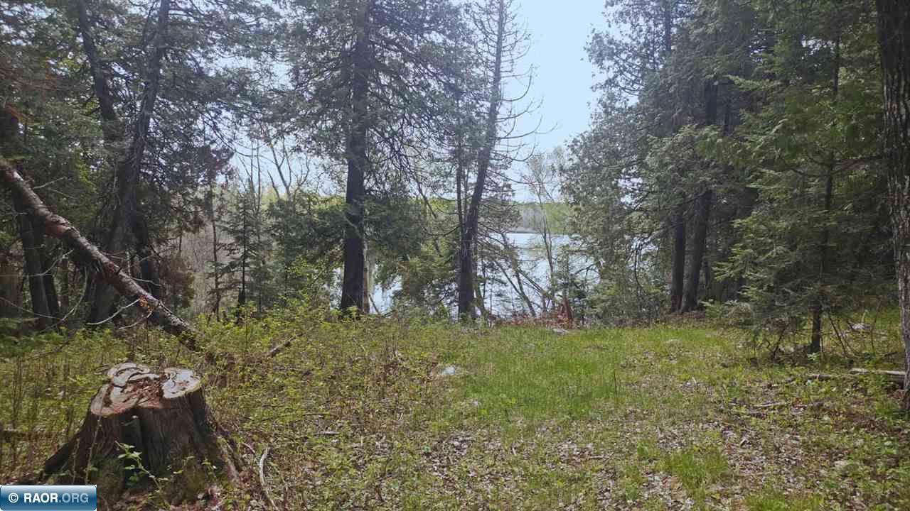 Lot 7 Serenity Point Road Esko, MN 55733 - Photo 1 of 18