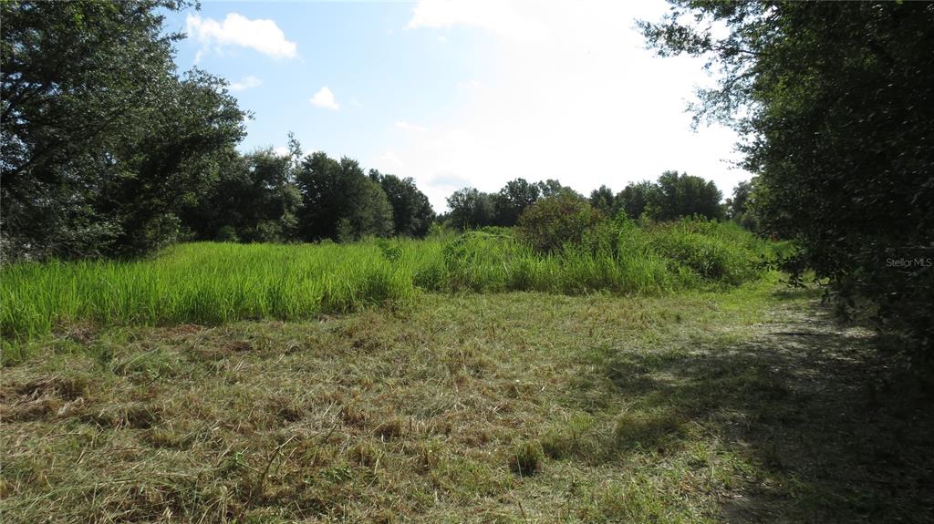 5218 Clarence Gordon Jr Road Plant City, FL 33567 - Photo 1 of 1 Welcome Home!