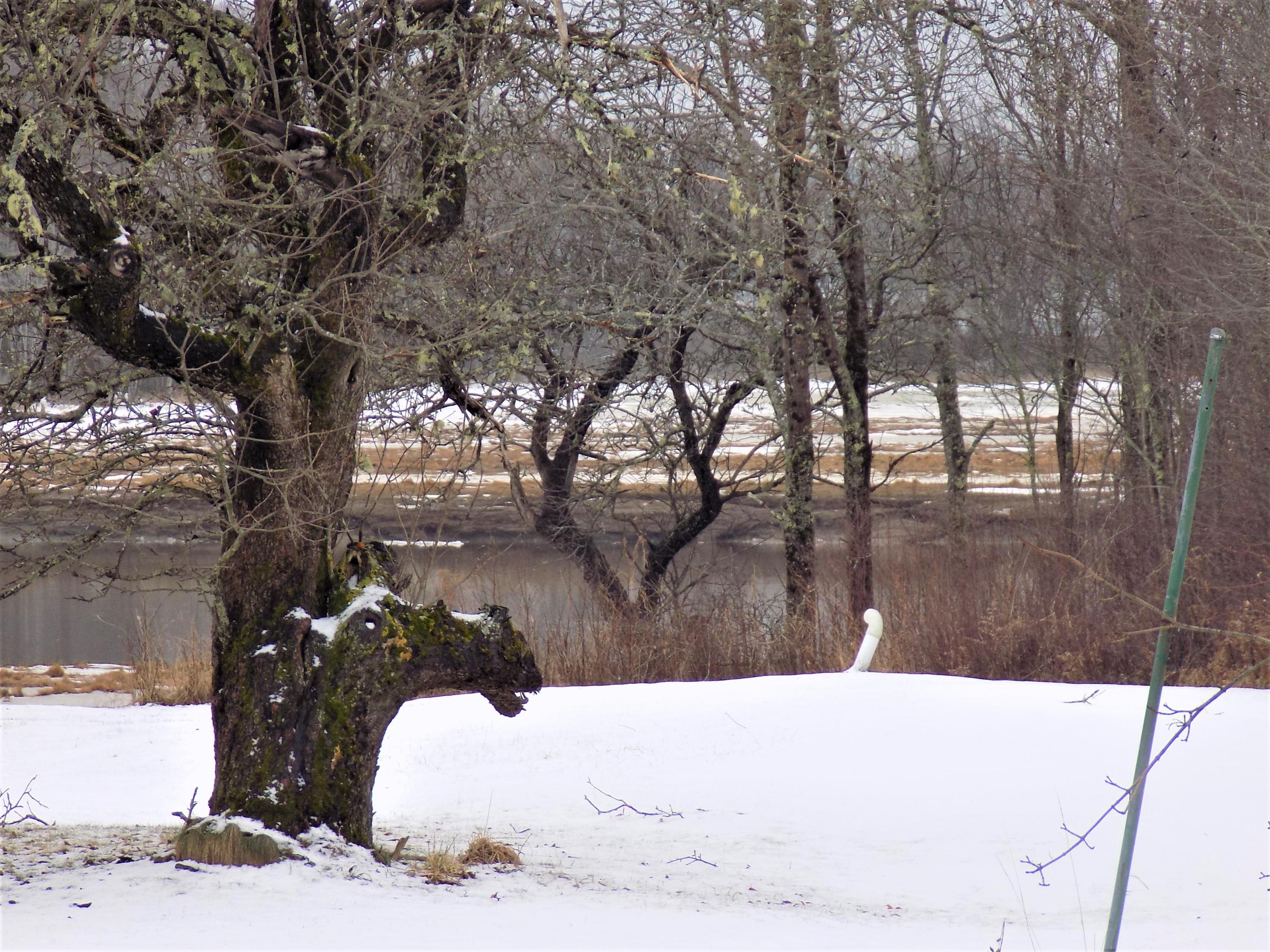 376 Water Street Addison, ME 04606 - Photo 53 of 54 view of River from front porch 2