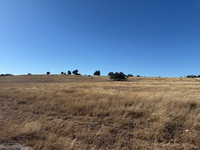 25 Reeh Road, Unit 25 Fredericksburg, TX 78624 - Photo 7 of 12