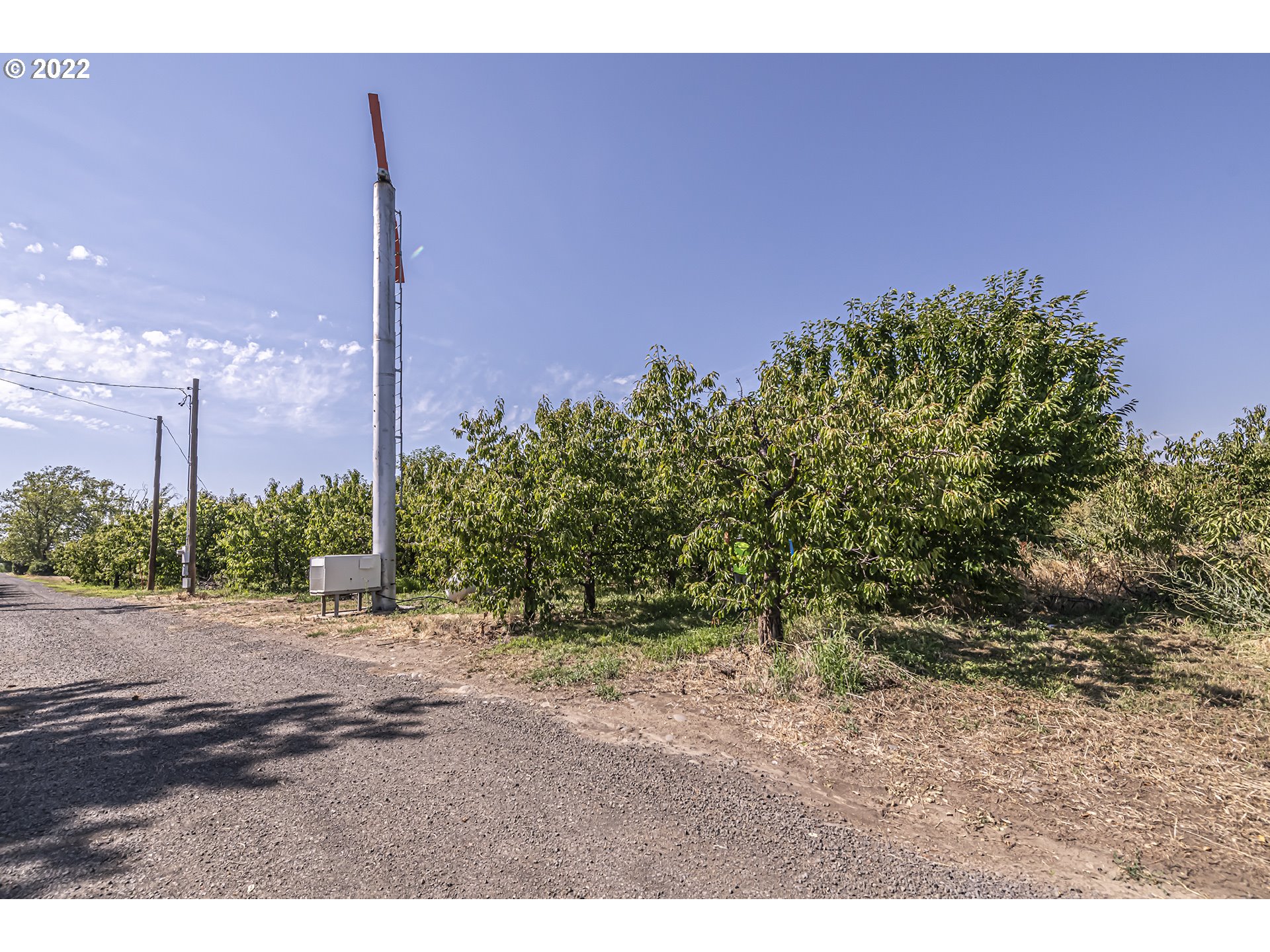 53486 Ruby Lane Milton Freewater, OR 97862 - Photo 25 of 27 a view of a city street
