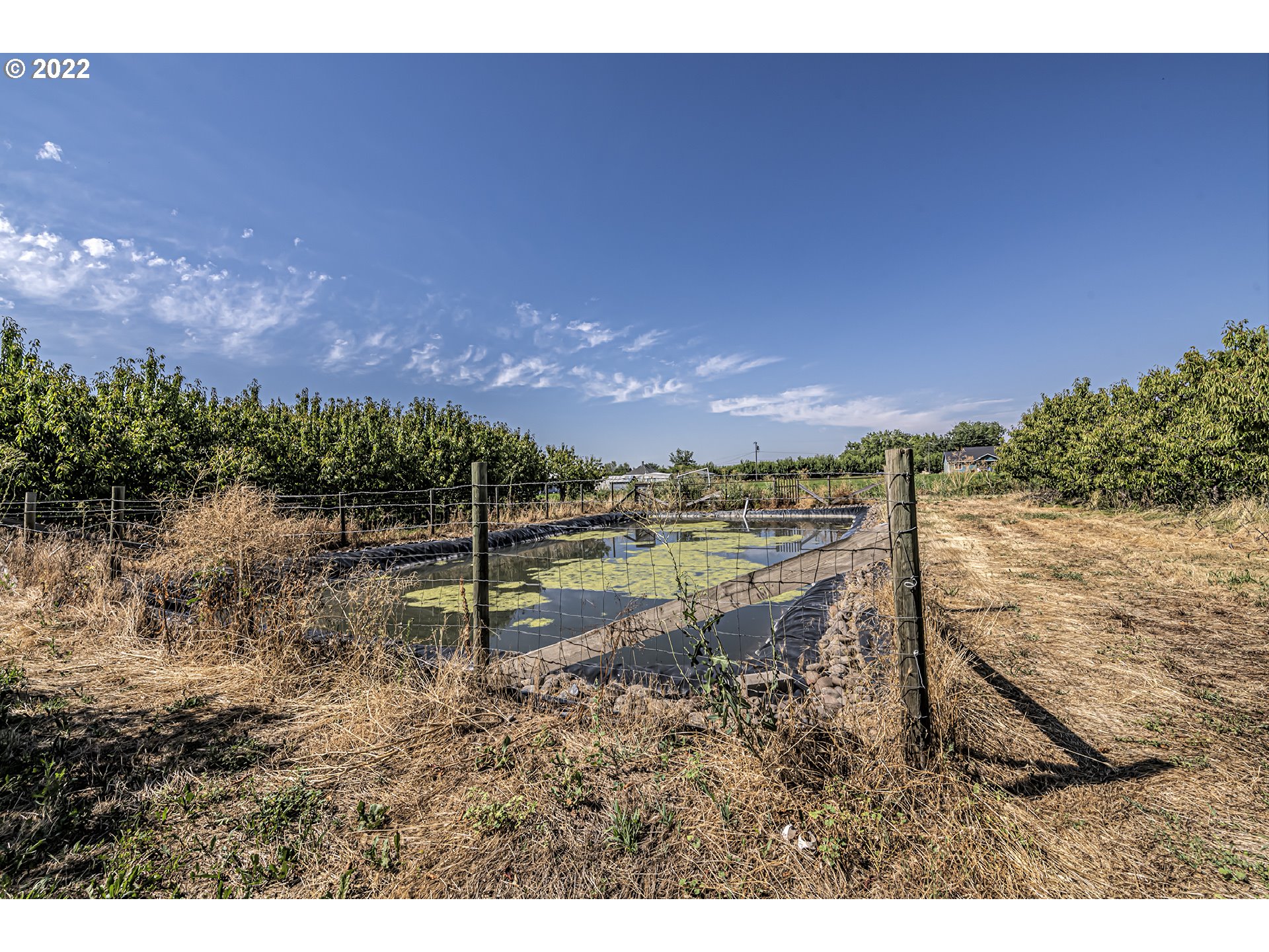 53486 Ruby Lane Milton Freewater, OR 97862 - Photo 27 of 27 a view of a lake with a yard