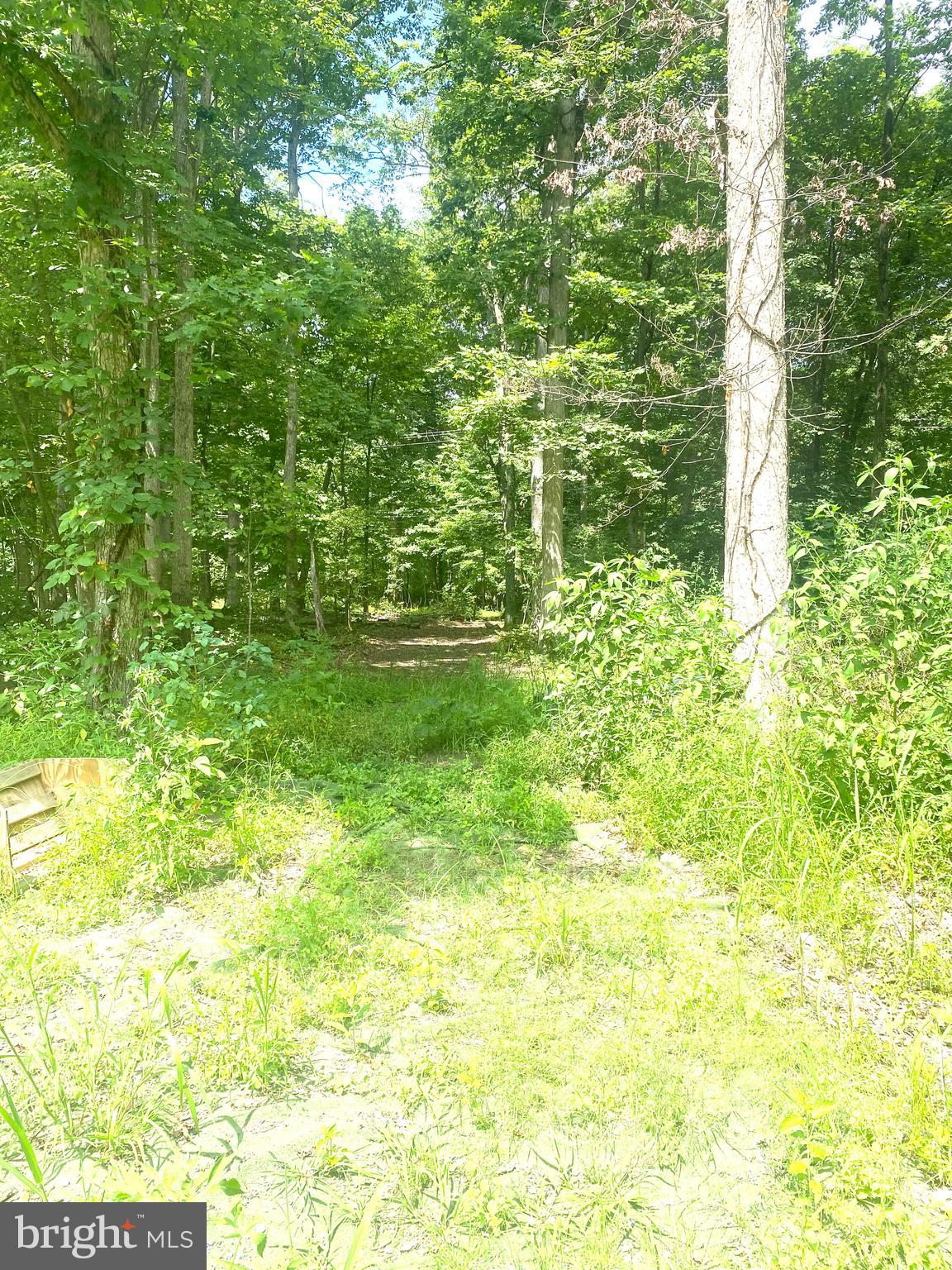 Lot Scott Lot Scott Road Pipersville, PA 18947 - Photo 3 of 8 Gallery Image 3