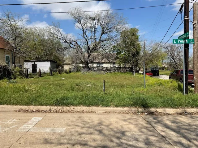 a view of a park with large trees