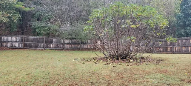 a view of a backyard with tree