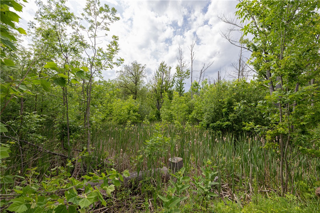 158 Jefferson Road Rochester, NY 14623 - Photo 5 of 7