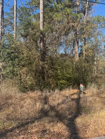 a view of a dry yard with trees
