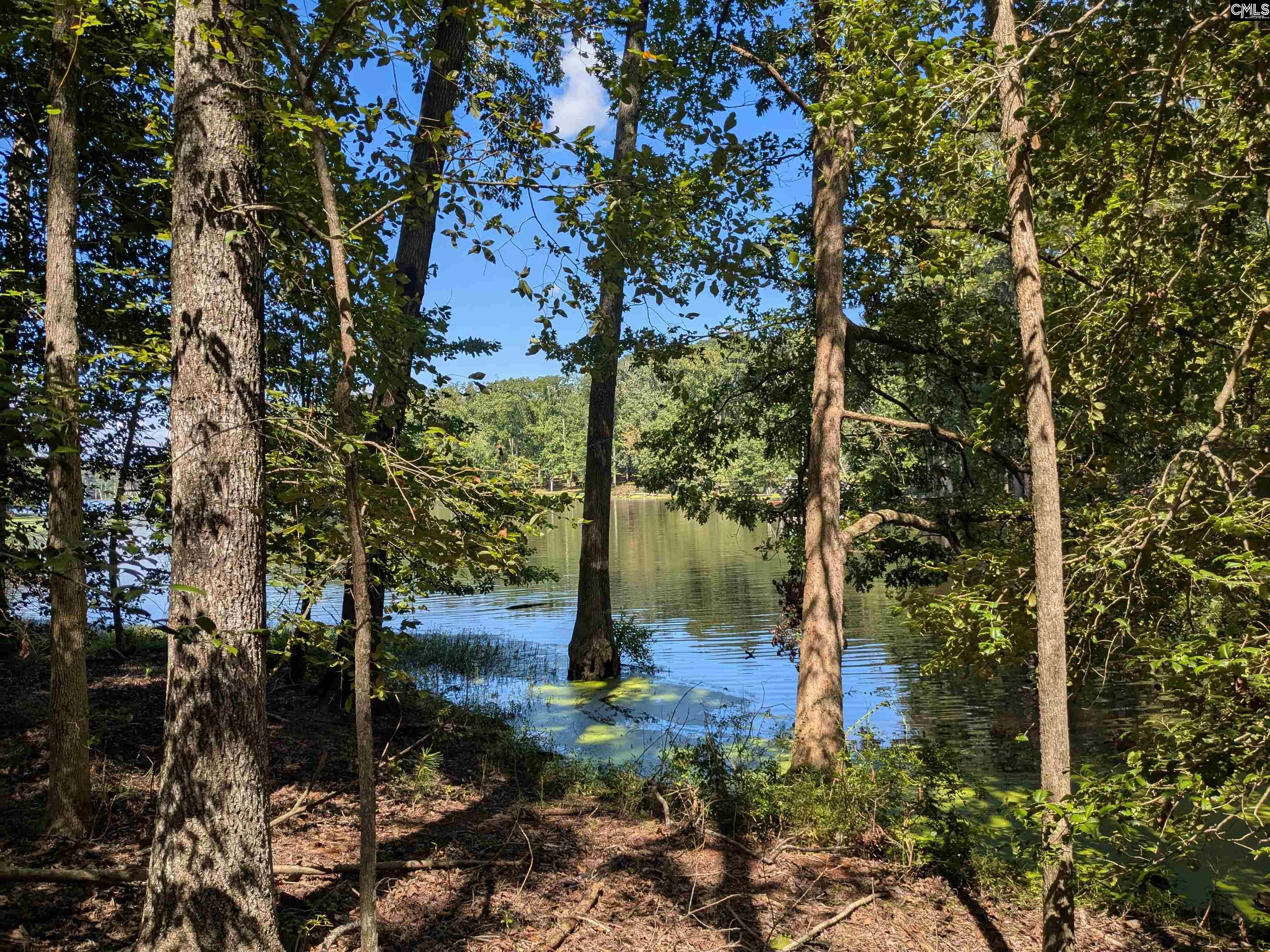 0 Taylor Road Batesburg, SC 29006 - Photo 6 of 20