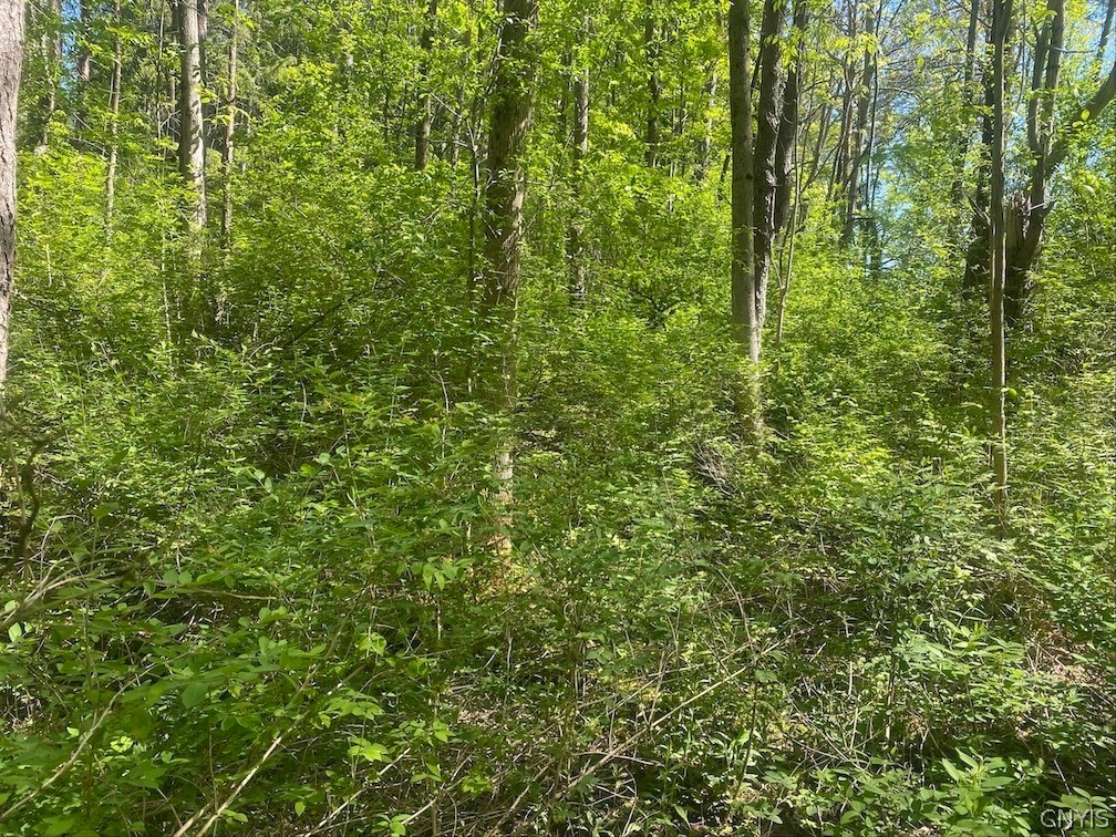 Townline Road Angelica, NY 14709 - Photo 11 of 13