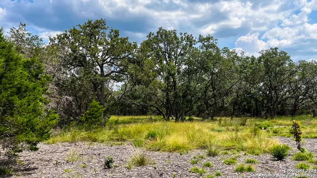 a view of swimming pool with a yard