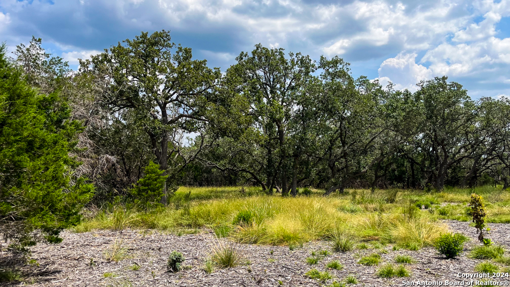 Lot 104 Creekside At Camp Verde Center Point, TX 78010 - Photo 13 of 18 a view of swimming pool with a yard