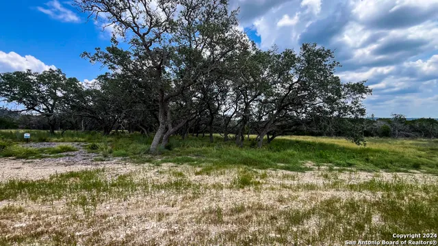 a view of backyard with green space