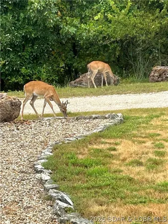 $434,900 | 71 Partee Lane, Sunrise Beach, MO 65079