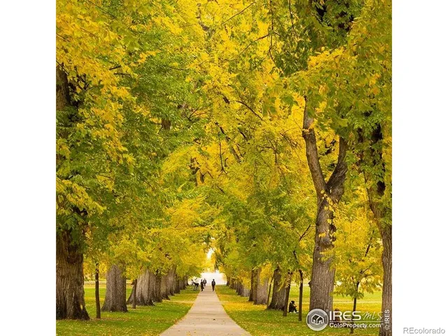 a view of outdoor space with swimming pool