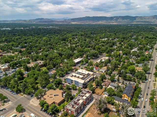 an aerial view of city and covered with trees