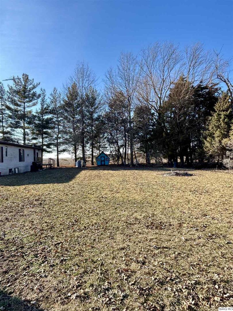 2330 East Co Road 1400 Carthage, IL 62321 - Photo 18 of 19 a view of yard with trees
