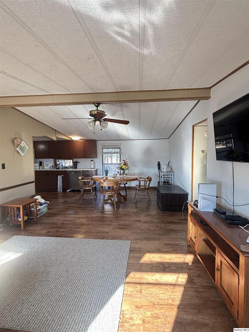 2330 East Co Road 1400 Carthage, IL 62321 - Photo 4 of 19 a living room with lots of furniture and kitchen view