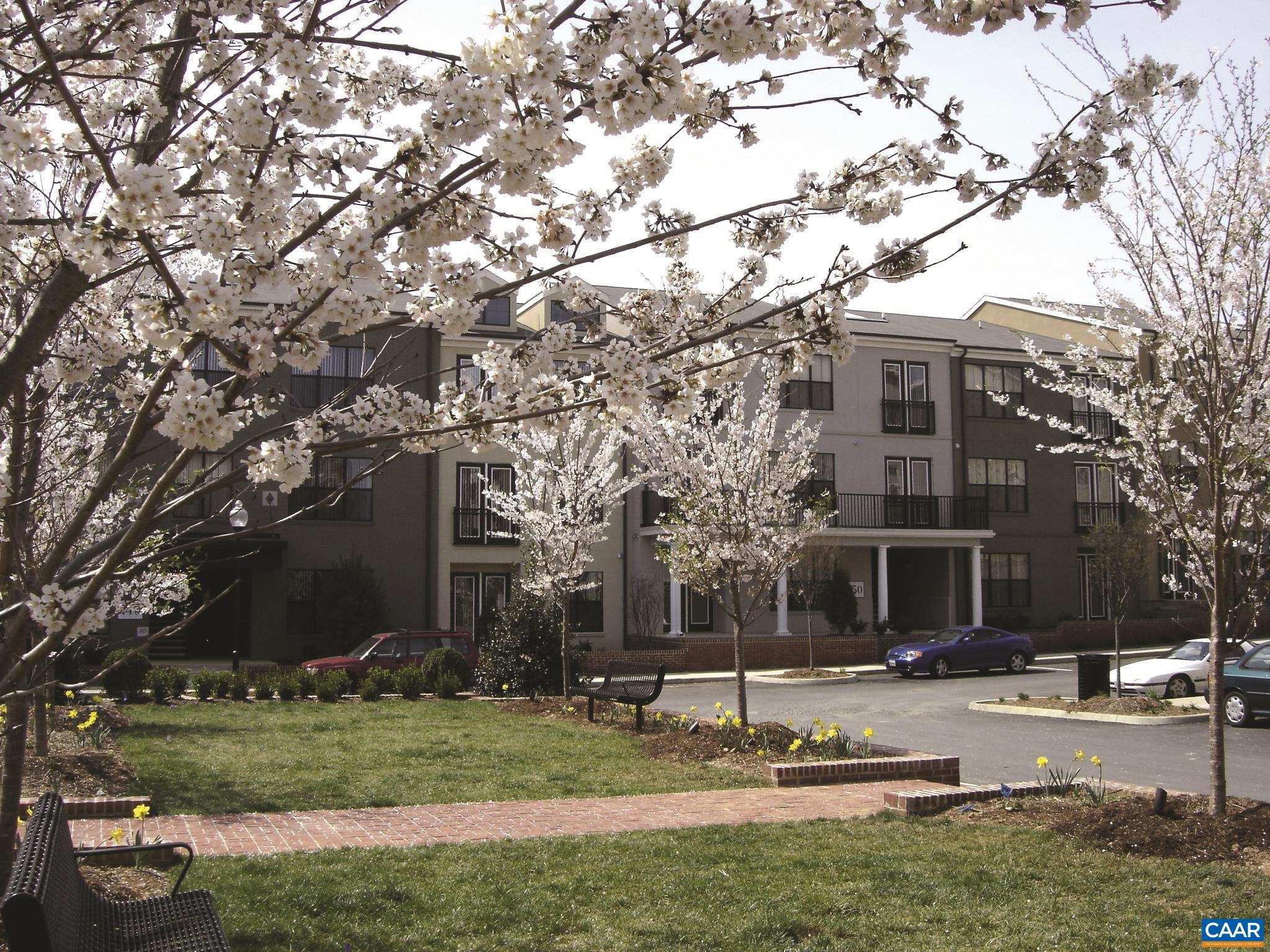 750 Walker Square, Unit 3B Charlottesville, VA 22903 - Photo 35 of 36 a view of a house with a yard tree and a tree