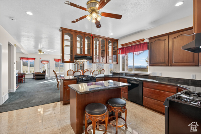 4768 East Hickman Canyon Road Stockton, UT 84071 - Photo 12 of 85 Kitchen with two gas ranges, ceiling fan, glass see through cabinets, a kitchen island.